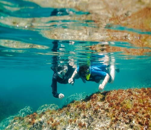 Snorkelling team building