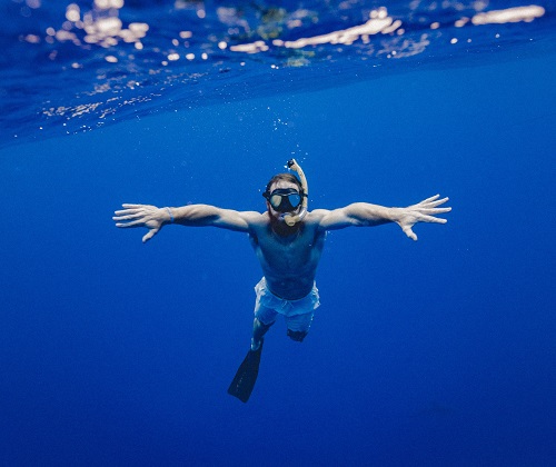 Tuna Tour - Team Building