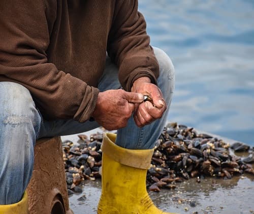 Degustació - Delta del Ebro