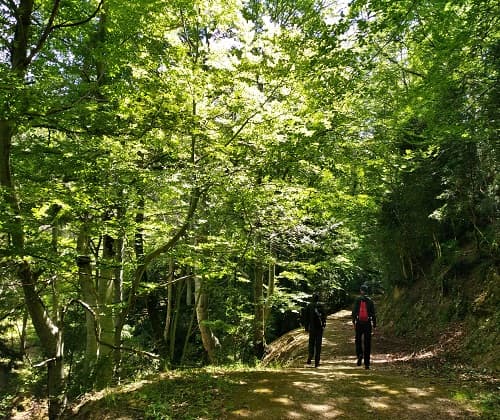 Els Ports - Senderisme