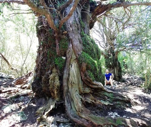 Els Ports - Senderismo