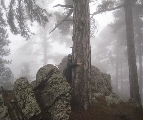 Els Ports - Team Building