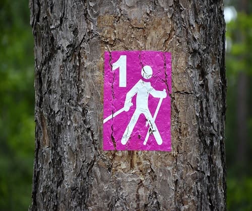 Hiking - Team Building