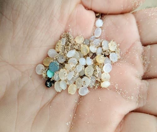 Sin plasticos Team Building