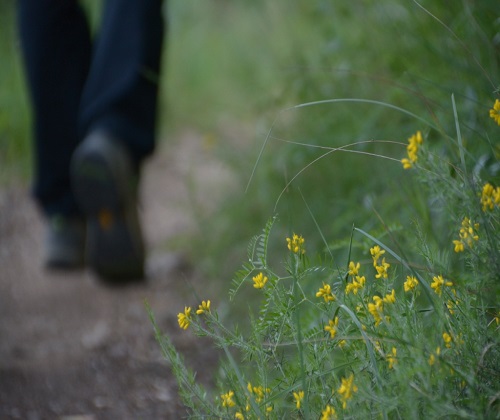 Via Verde - Team Building